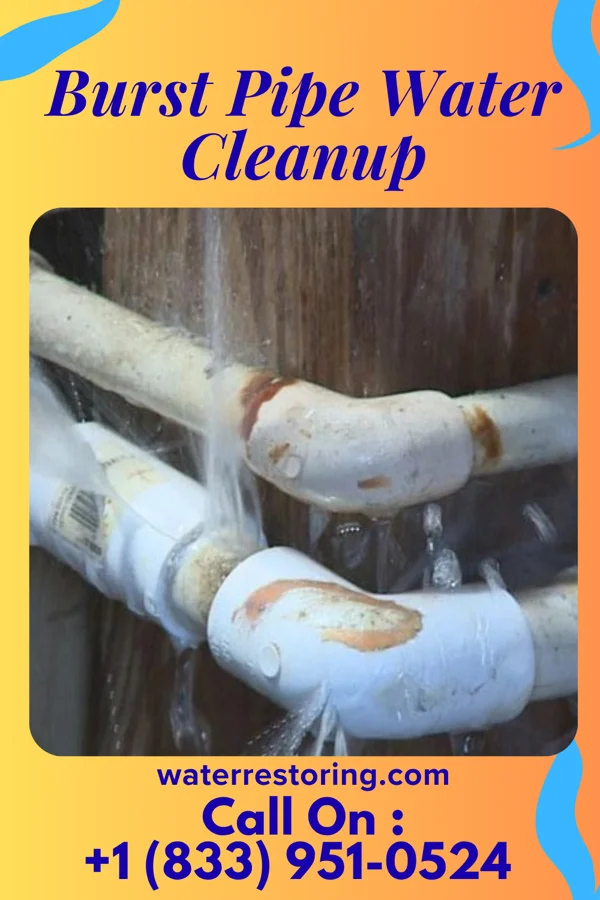 Burst Pipe Water Cleanup in Hammonton, NJ