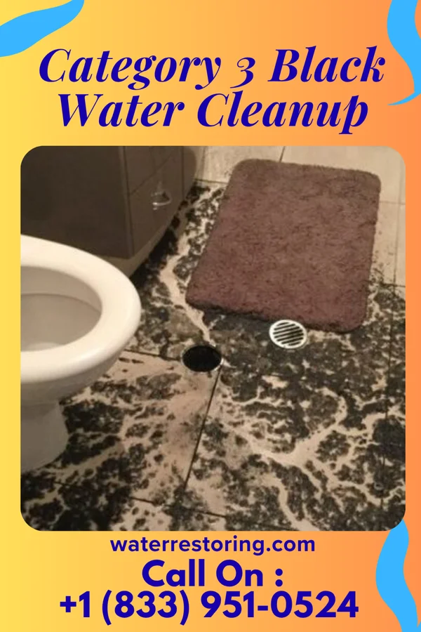 Category 3 Black Water Cleanup in Hammonton, NJ