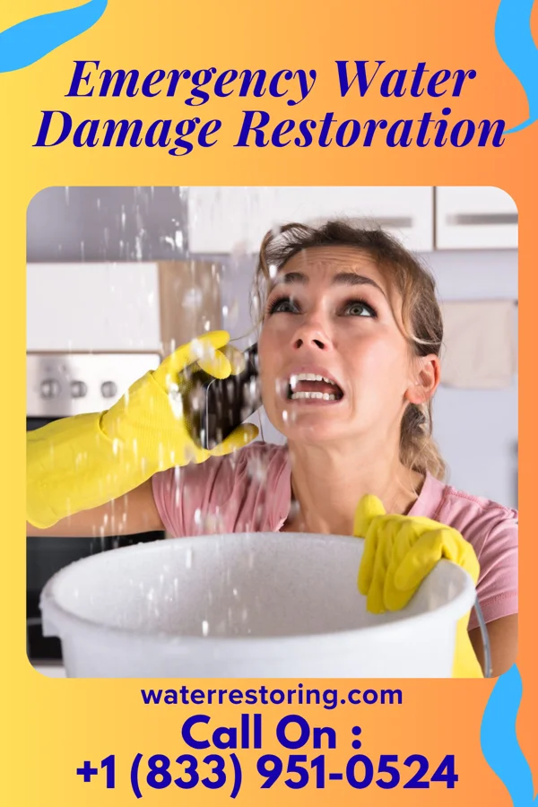Emergency Water Damage Restoration in Hammonton, NJ