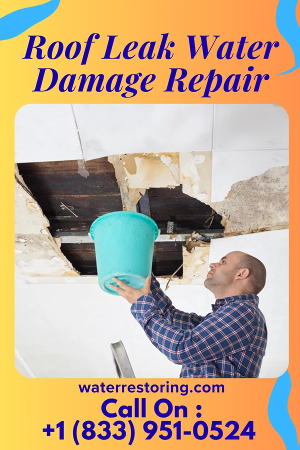 Roof Leak Water Damage Repair in Hammonton, NJ