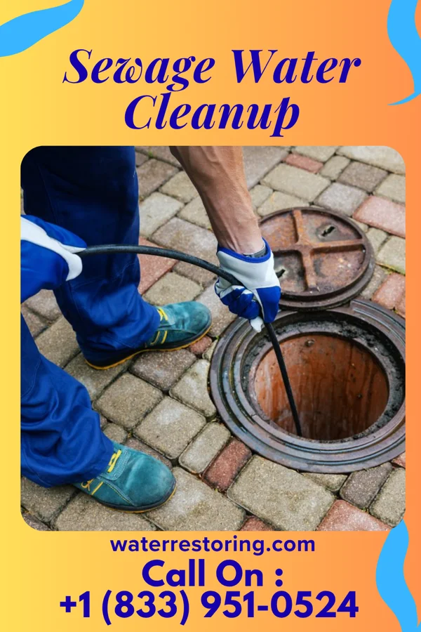 Sewage Water Cleanup in Hammonton, NJ